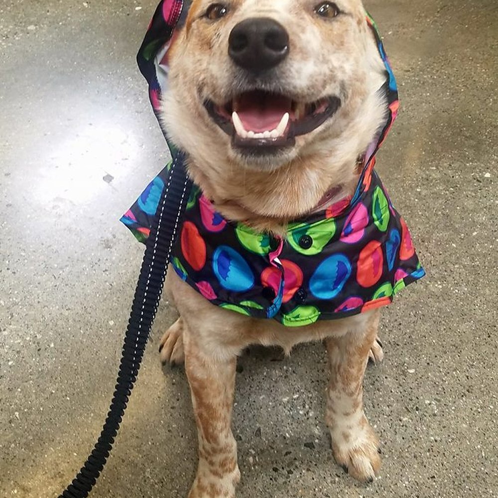 Raincoat on sale for $2 Raincoat on sale for $2