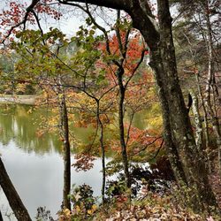 South Cumberland State Park - October 26, 2024