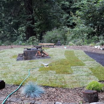 Sempervirens Gardening - a man watering a lawn - Gardeners Near Me Sempervirens Gardening - a man watering a lawn - Gardeners Near Me