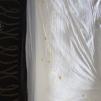 Quality Inn - Stains on sheets. - Hotels Near Me - Moses Lake, Washington Quality Inn - Stains on sheets. - Hotels Near Me - Moses Lake, Washington