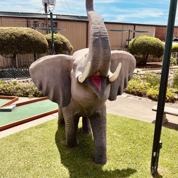 Putt-Putt Golf & Games - Amusement Parks Near Me - Longview, Texas Putt-Putt Golf & Games - Amusement Parks Near Me - Longview, Texas