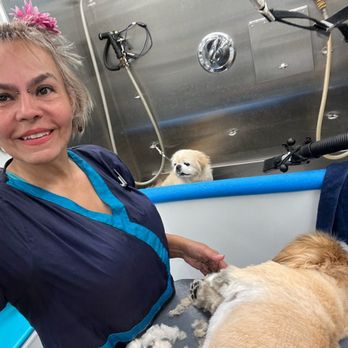 Vip Grooming And Sitting - Pet Groomers Near Me Vip Grooming And Sitting - Pet Groomers Near Me