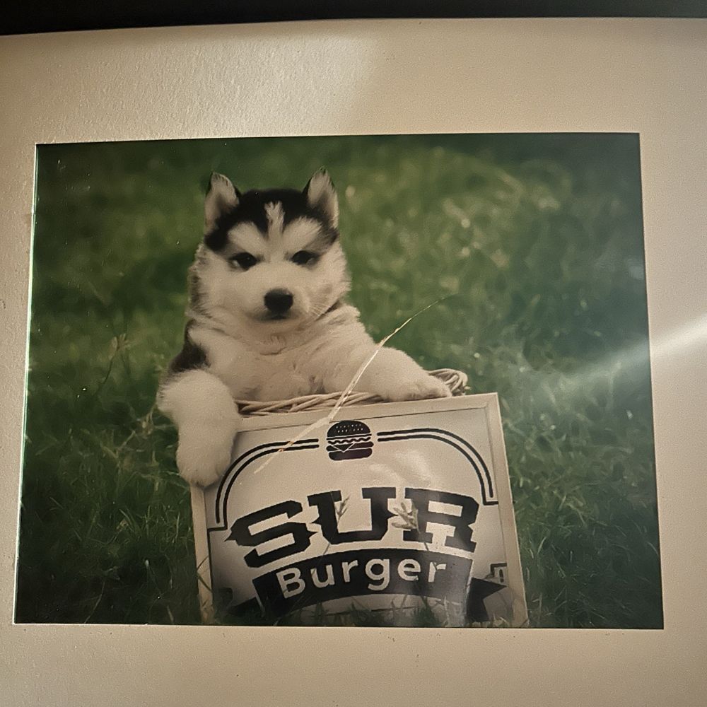 Sur Burger - Bathroom - Burgers Near Me - Monterey, California Sur Burger - Bathroom - Burgers Near Me - Monterey, California