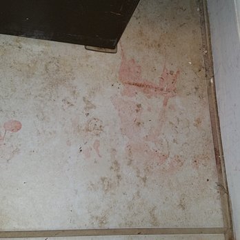 Apache Lake Resort - Stains on the floor. Obviously not cleaned properly after the last occupants. - Resorts Near Me - Roosevelt, Arizona
