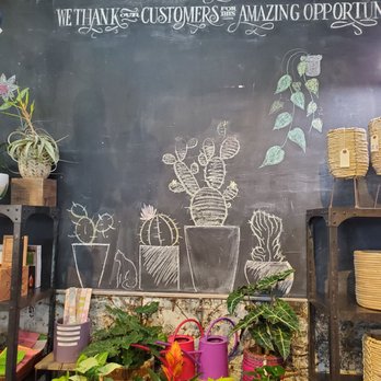 Potted - Home Decor Near Me - Los Angeles, California