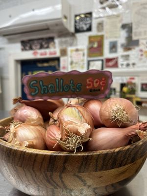 THE mushroom shop by null