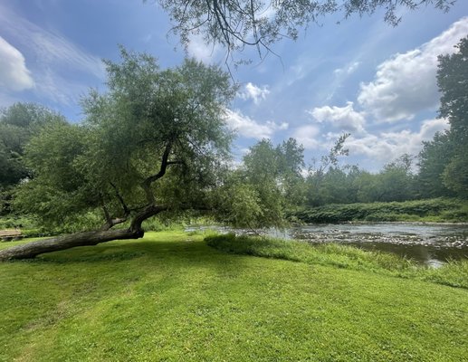 Callicoon Caffè by null