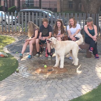Levy Park - Dog park! - Dog Parks Near Me - Houston, Texas Levy Park - Dog park! - Dog Parks Near Me - Houston, Texas