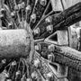 Photo of Friends of Long Pond Ironworks