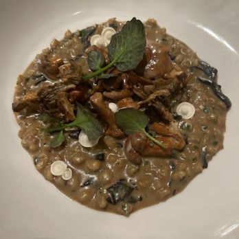 Knife Pleat - Barley mushroom dish - French Near Me - Costa Mesa, California Knife Pleat - Barley mushroom dish - French Near Me - Costa Mesa, California
