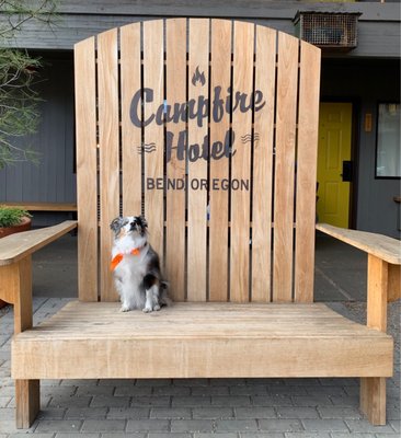 Campfire Hotel by null