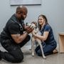 Gateway Pet Hospital