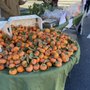 Feather River Farms