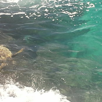 Halona Beach Cove - Beaches Near Me - Honolulu, Hawaii