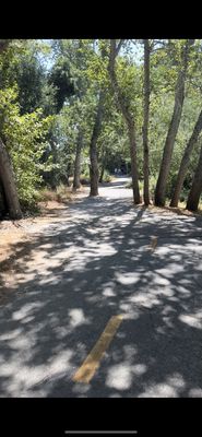 Bob Jones Trail Head by null