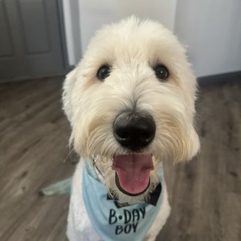 Tailwaggers - Pet Groomers Near Me - Las Vegas, Nevada