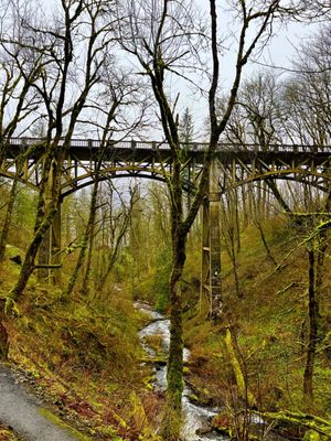 Latourell Falls by null