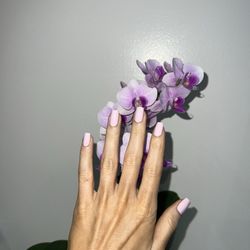 Exotique Nail Spa - Regular Manicure