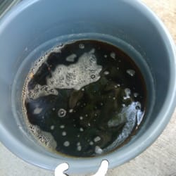 Miska's Liquor - Result of our leaky keg :(
