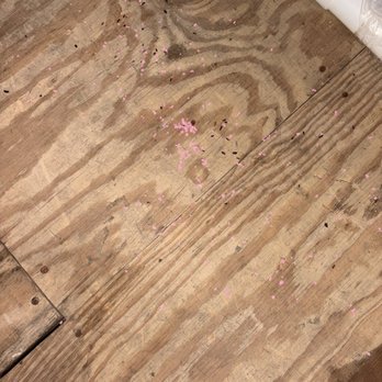 U-Haul Moving & Storage-Hempstead - Mice droppings - Self Storage Near Me - Hempstead, New York U-Haul Moving & Storage-Hempstead - Mice droppings - Self Storage Near Me - Hempstead, New York