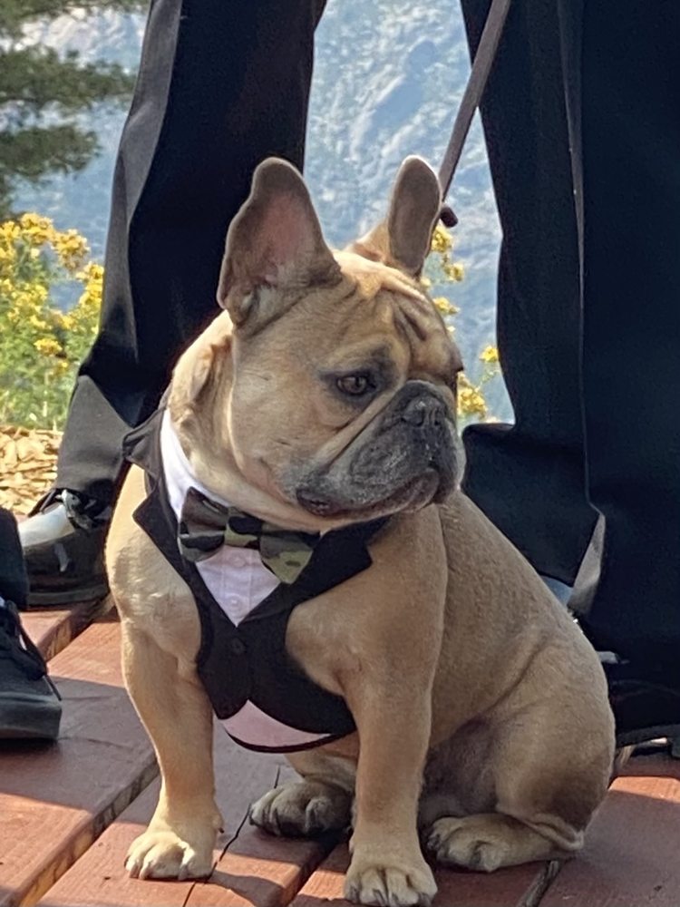 BAY AREA ANIMAL RESCUE CREW Updated September 2024 Concord