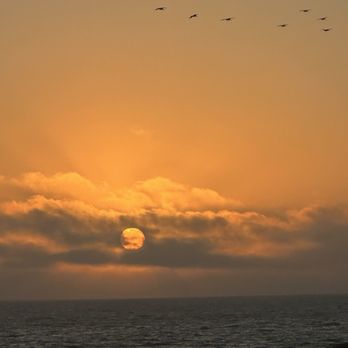 The Sunset Restaurant - The sunset from the patio room - New American Near Me - Malibu, California
