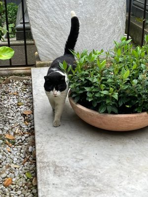 Cimetière de Montmartre by null