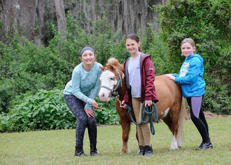 Paragon Stables - equestrian in Palmetto, FL