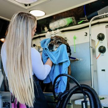 Bubble Buddies - Pet Groomers Near Me Bubble Buddies - Pet Groomers Near Me