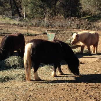 Fleming Jones Homestead - Bed & Breakfast Near Me - Placerville, California