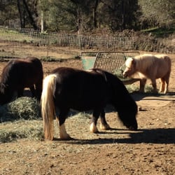 Fleming Jones Homestead