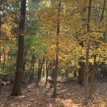 Tenafly Nature Center - Community Service/Non-Profit Near Me - Tenafly, New Jersey Tenafly Nature Center - Community Service/Non-Profit Near Me - Tenafly, New Jersey