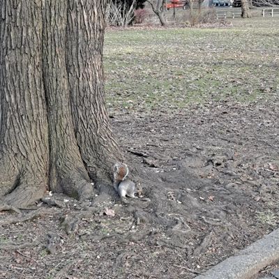 John Paul Jones Park by null