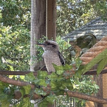 Virginia Zoo - Zoos Near Me - Norfolk, Virginia Virginia Zoo - Zoos Near Me - Norfolk, Virginia