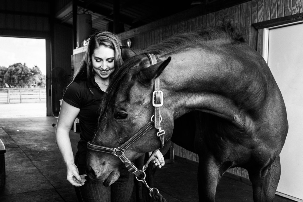 GUARDIA EQUINE SPORTS MEDICINE 12645 Memorial Dr, Houston, Texas