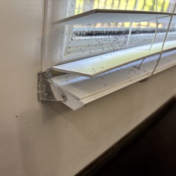 Procare Pest Services - lot of insects - Pest Control Near Me - Marietta, Georgia Procare Pest Services - lot of insects - Pest Control Near Me - Marietta, Georgia