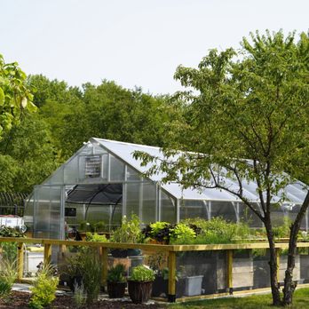 Eden - Eden's on-site greenhouse growing fresh herbs, edible flowers, and more - New American Near Me - Chicago, Illinois