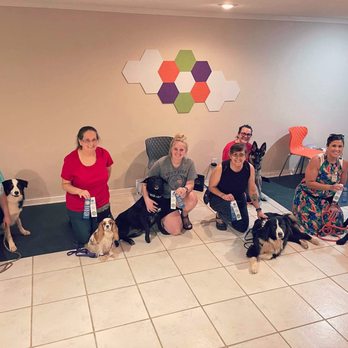 Panoramic Dog Training - Good Canine Citizen Awards! - Pet Training Near Me Panoramic Dog Training - Good Canine Citizen Awards! - Pet Training Near Me