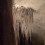 Photo of Princess Margaret Rose Caves