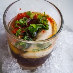 Oyster Shooter