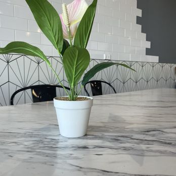 Sharetea - Bubble Tea Near Me - Dallas, Texas