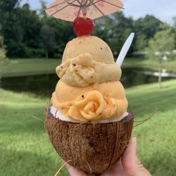 Jr Tropical Ice Cream - Tropical ice cream - Ice Cream & Frozen Yogurt Near Me - Orlando, Florida Jr Tropical Ice Cream - Tropical ice cream - Ice Cream & Frozen Yogurt Near Me - Orlando, Florida