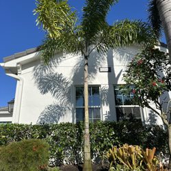 The Bless Landscaping - Planted a new one