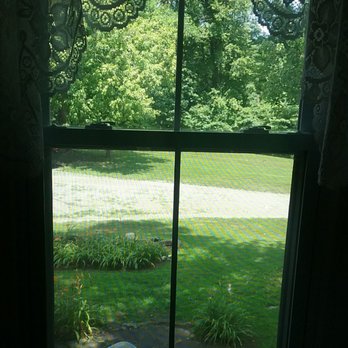 The White Pig Bed & Breakfast - View from the Willaby room - Bed & Breakfast Near Me - Schuyler, Virginia