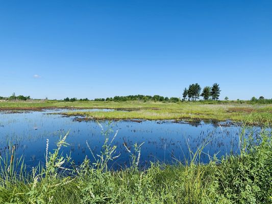 Sherburne National Wildlife Refuge by null
