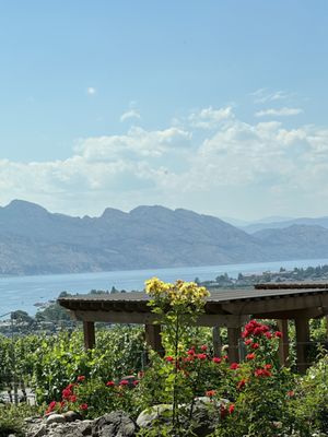 Old Vines Restaurant @ Quails' Gate Winery by null