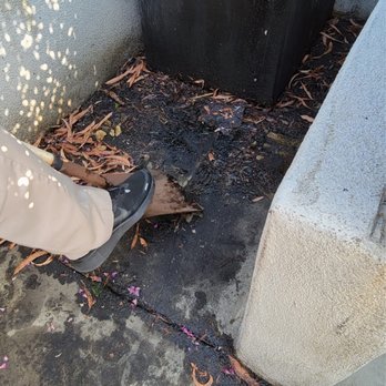 Preeminence Power Washing - Pressure Washers Near Me Preeminence Power Washing - Pressure Washers Near Me