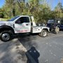 Photo of Gorillas Transportation