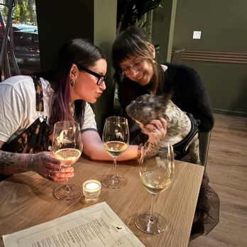Frenchie Wine Bar - Tapas Bars Near Me - San Francisco, California Frenchie Wine Bar - Tapas Bars Near Me - San Francisco, California