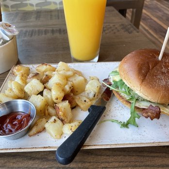 First Watch - Breakfast & Brunch Near Me - Lutz, Florida